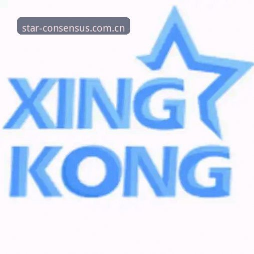 星空中国区站标PNG图标：官方版vs第三方版，哪个更靠谱？